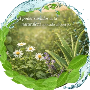 Diseno-sin-titulo-11.webp