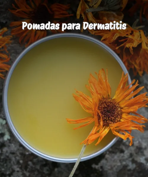 Pomadas para el cuidado de la piel (4)