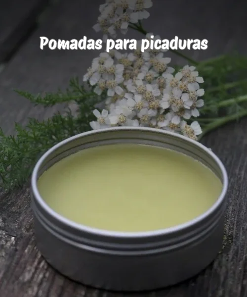 Pomadas para el cuidado de la piel (8)